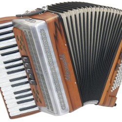 Akkordeon-Alpengold-Tradition-396-C-indischer-Apfel-1