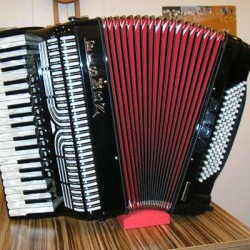 Fismen Proline Alpengold Harmonika