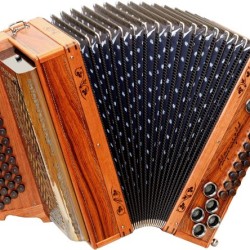 Orignal 50 18DH Palisander