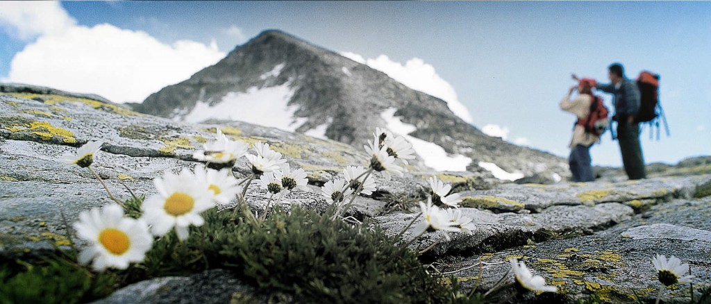Harmonika und Akkordeons - Alpengold
